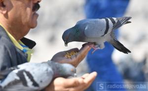 Prognoza: Uživajte u sunčanim danima, uskoro nam dolazi zahlađenje